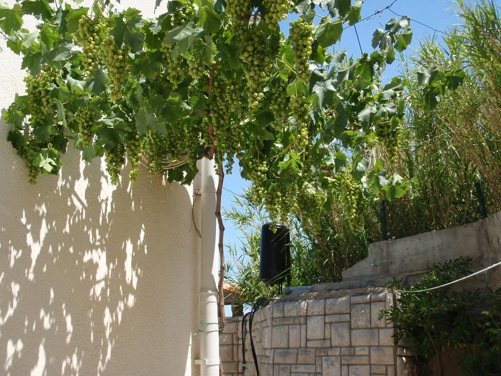 Apartments Ariana Pag Town Exterior photo